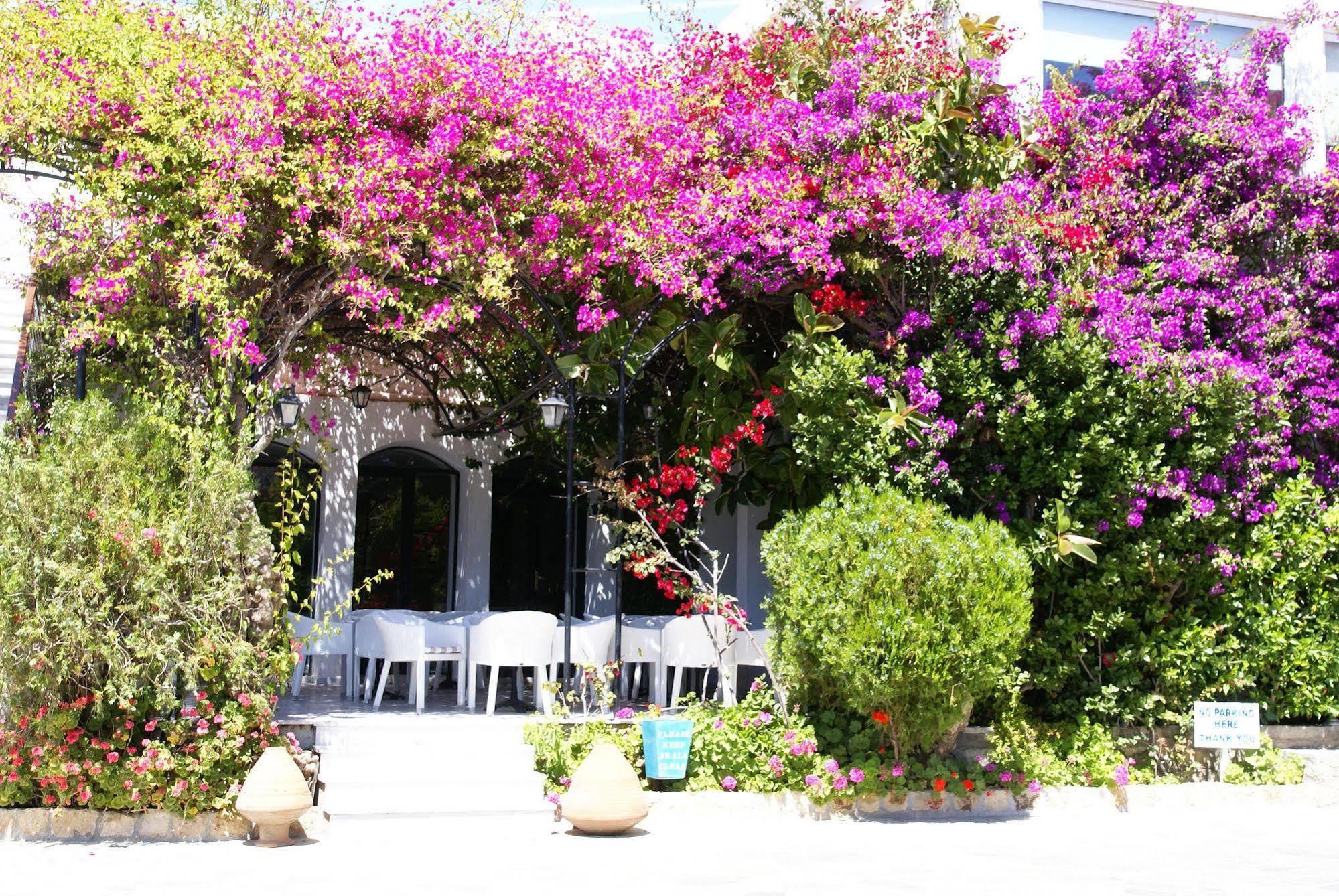 Skala Hotel Extérieur photo